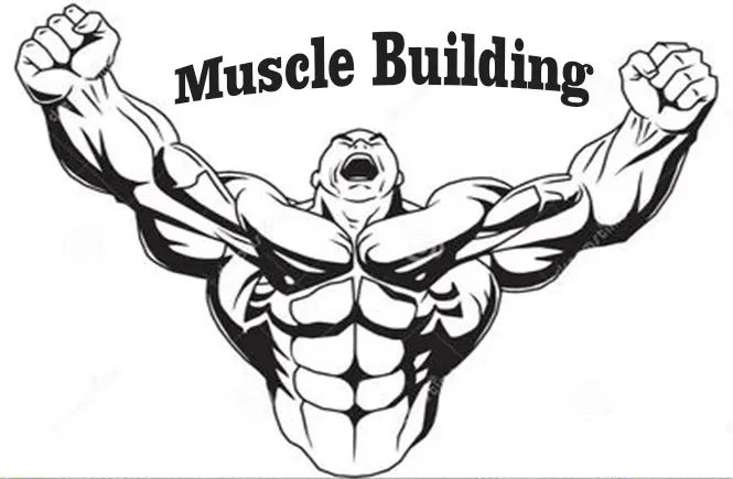 Warum ist PCT notwendig, um SARMS zu verwenden?
