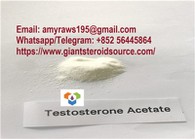99 Prozent Reinheits-rohes Steroid-anaboles Pulver-Testosteronacetat für Bodybuilding