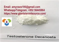 Rohes Testosteron-Pulver des anabolen Steroids, rohes Steroid-Pulver des Testosteron-Decanoats