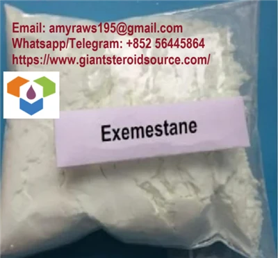 Antiöstrogen-Bodybuilding-rohes Steroid-Pulver Exemestan/Aromasin CAS 107868-30-4