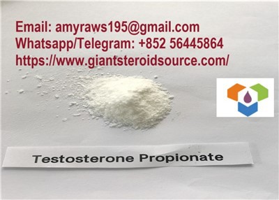 Rohes Steroid-Testosteron-Propionat-Pulver