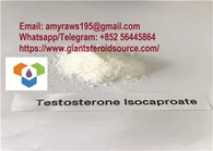 Raw Testosterone Isocaproate Steroid Powder Supplier 15262-86-9