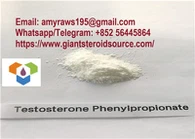 Testosteron Phenylpropionat Retandrol Testosteron Basispulver Phenylpropionat CAS 1255-49-8
