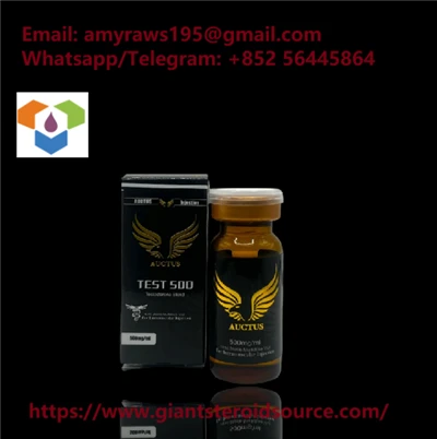 AUCTUS Testosteronmischung 500